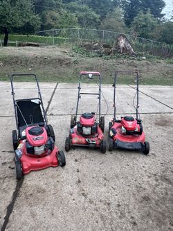 3 Mowers 