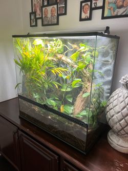 X Large 36” x 18” x 36” terrarium , paludarium set up