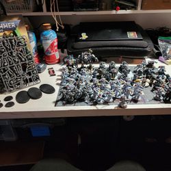 Space Wolves Lot