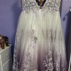 Beautiful Dress 20w