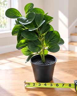 Full & Lifelike Faux Peperomia Plant ~15" Tall