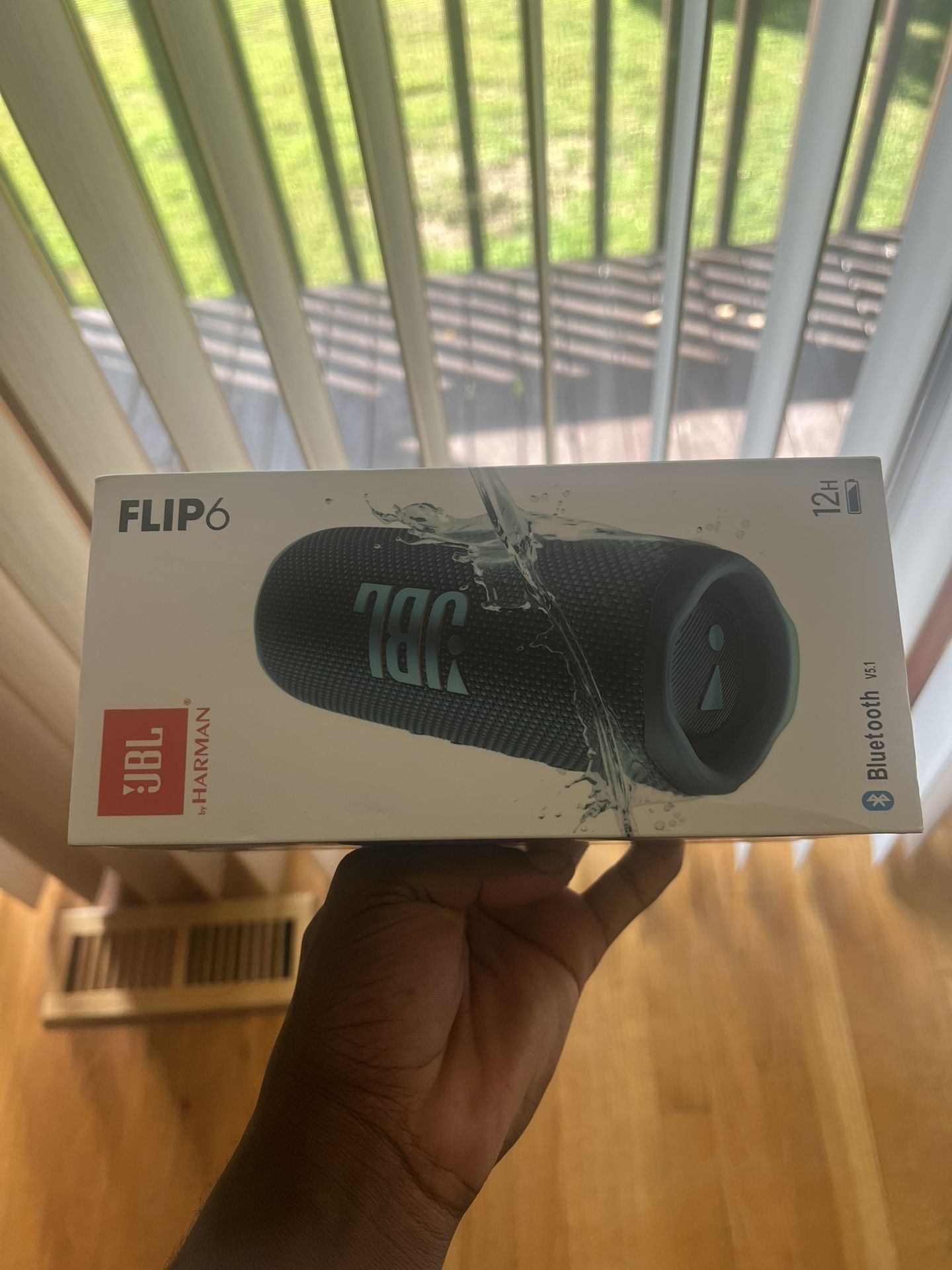 Blue Jbl Flip 6