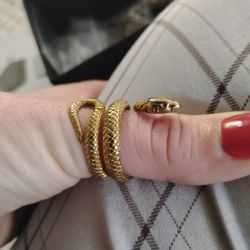 Gold Ring Snake 