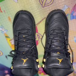 Black And Gold Jordan 12s