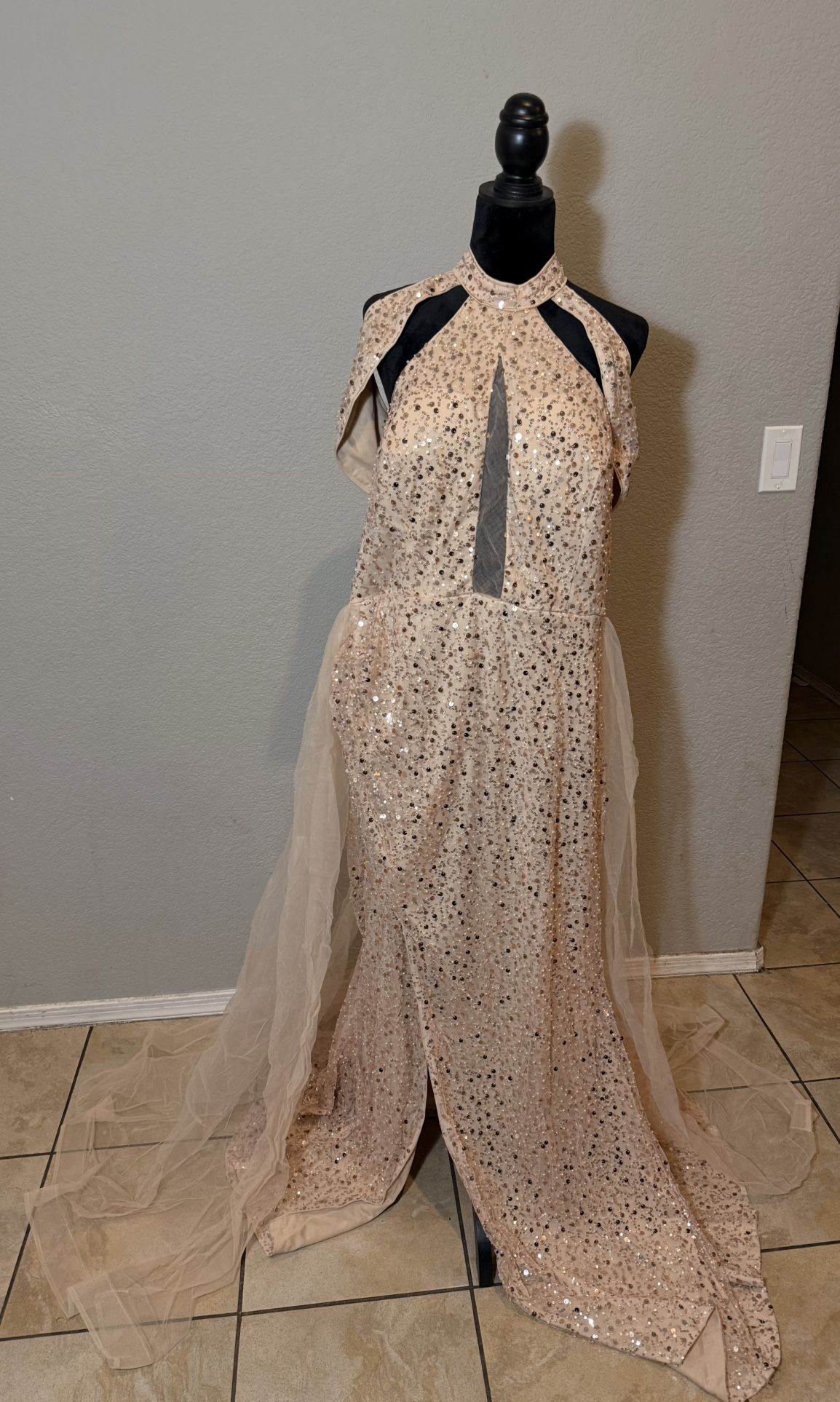Formal Champagne Sparkly Dress