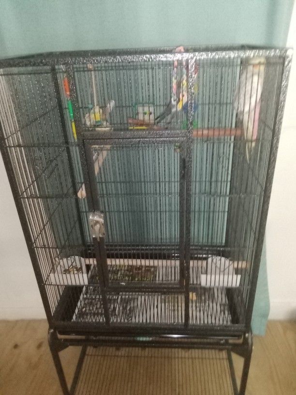 Two Cockatiels With Cage On Stand Toys Food Included