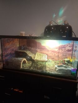 40 gal reptile enclosure
