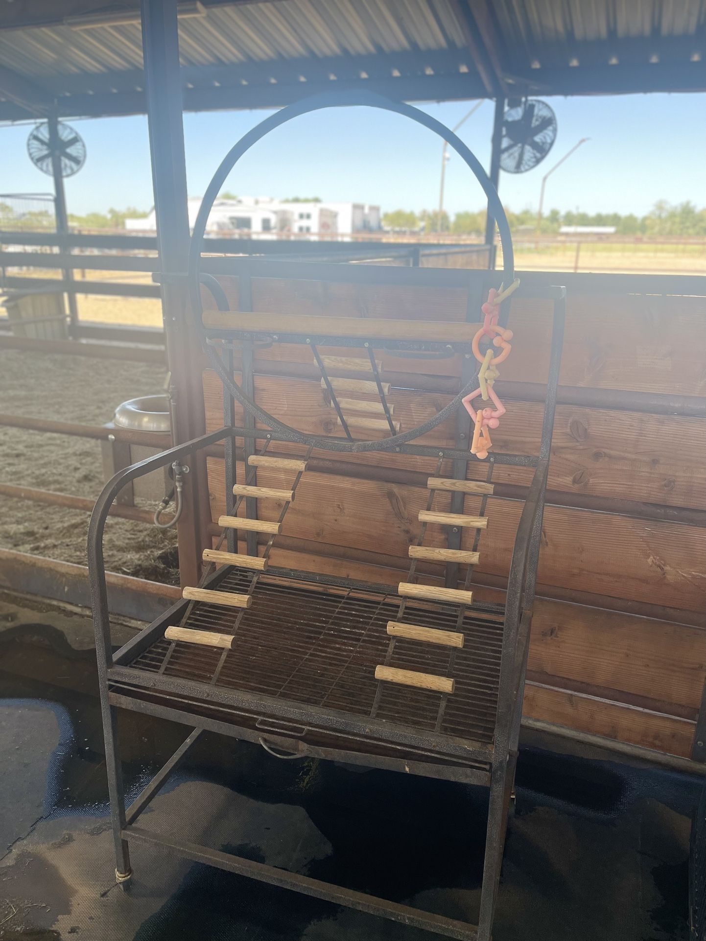 Medium Bird Cage, Travel Cage And Play stand