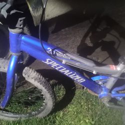 Specialized 20 In 