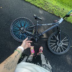 29 Inch Wheelie Bike