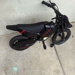 Hovermax Electric Bike