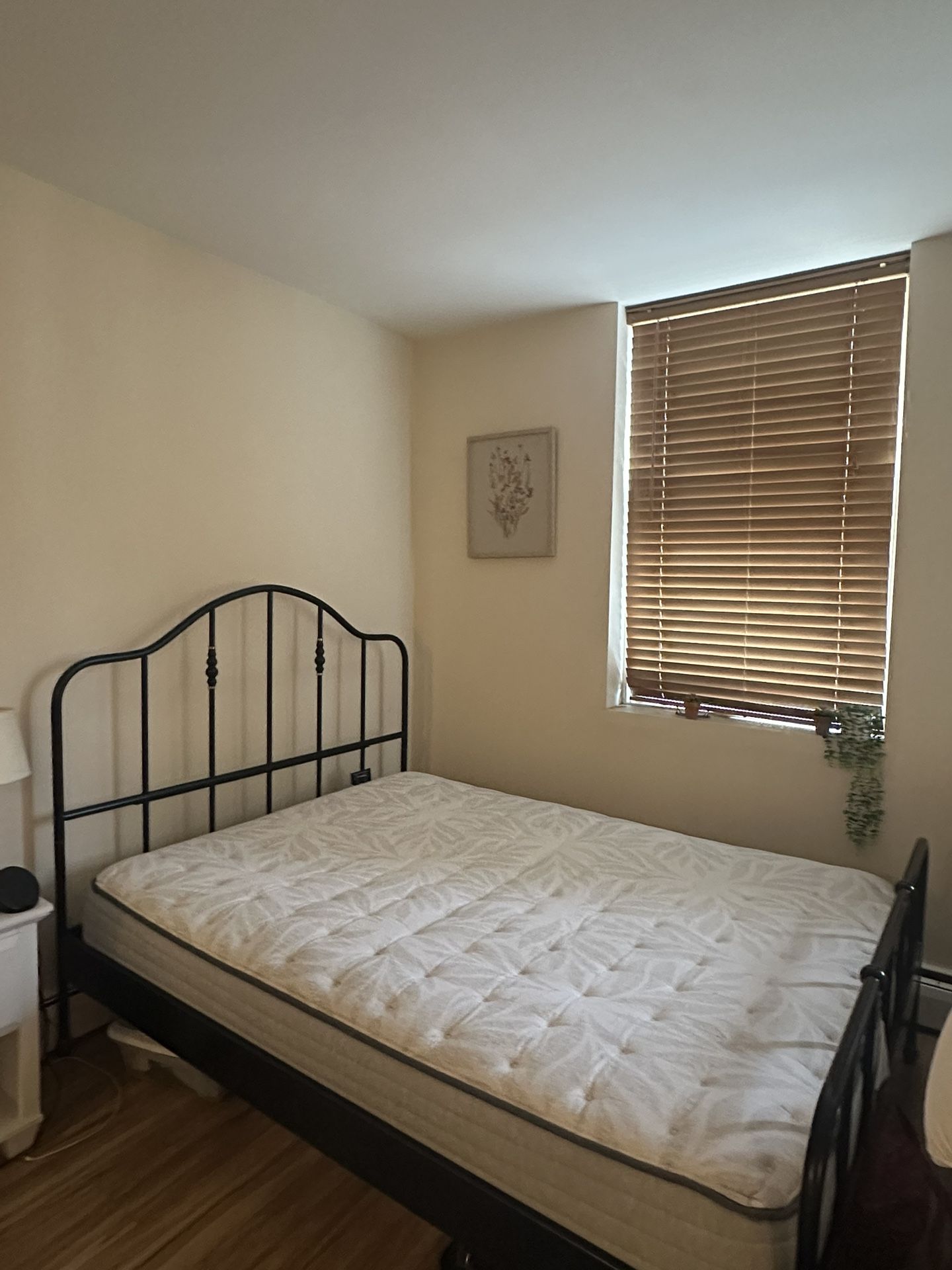 Queen Bed And Frame