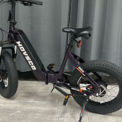 Powerful Premium Foldable Ebike At Wholesale 