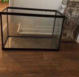 10 gallon aquarium