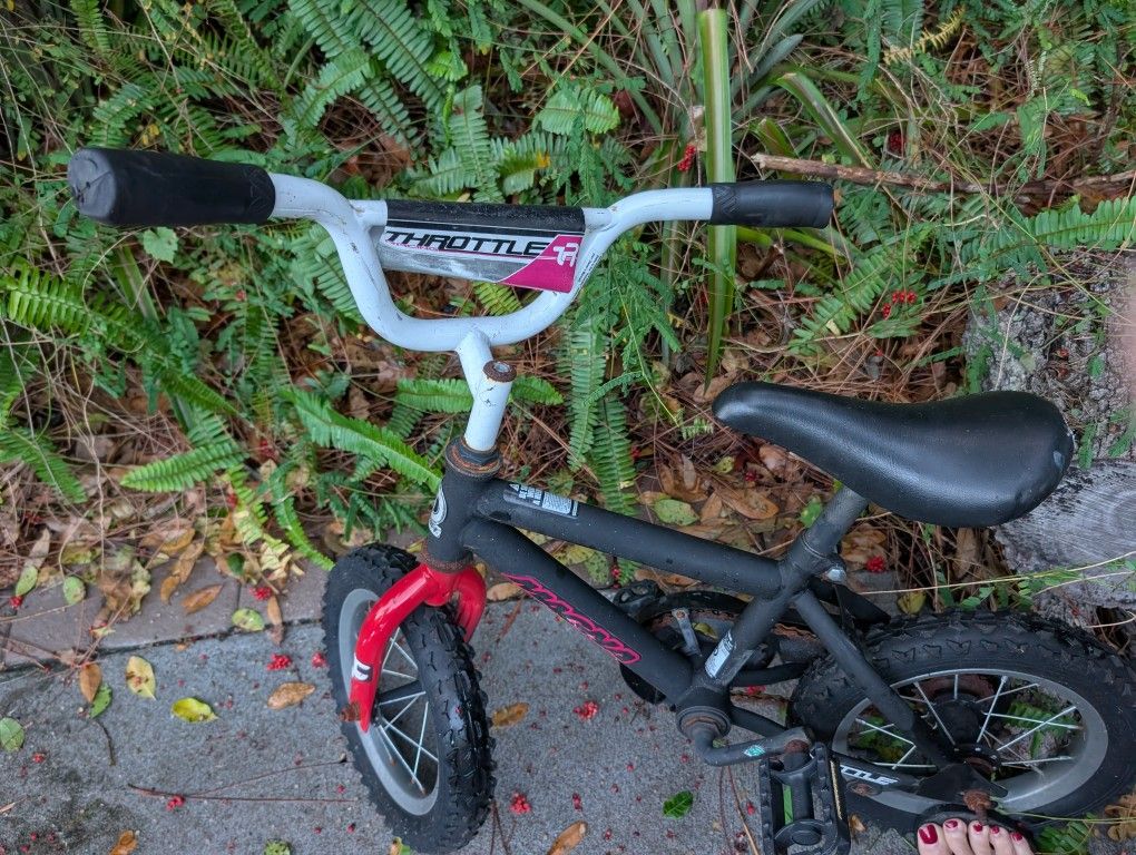 Children's Bikes (3 Available)