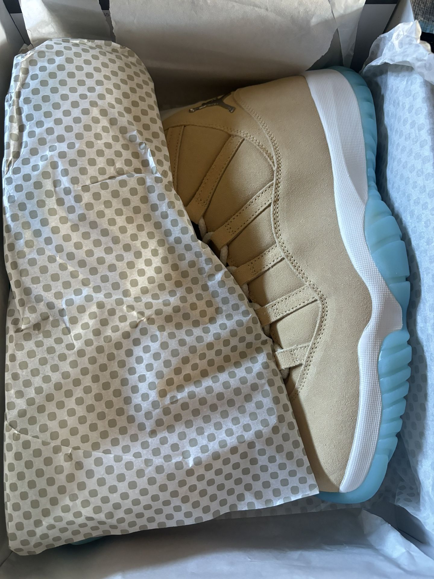 Jordan Retro 11 Htown 