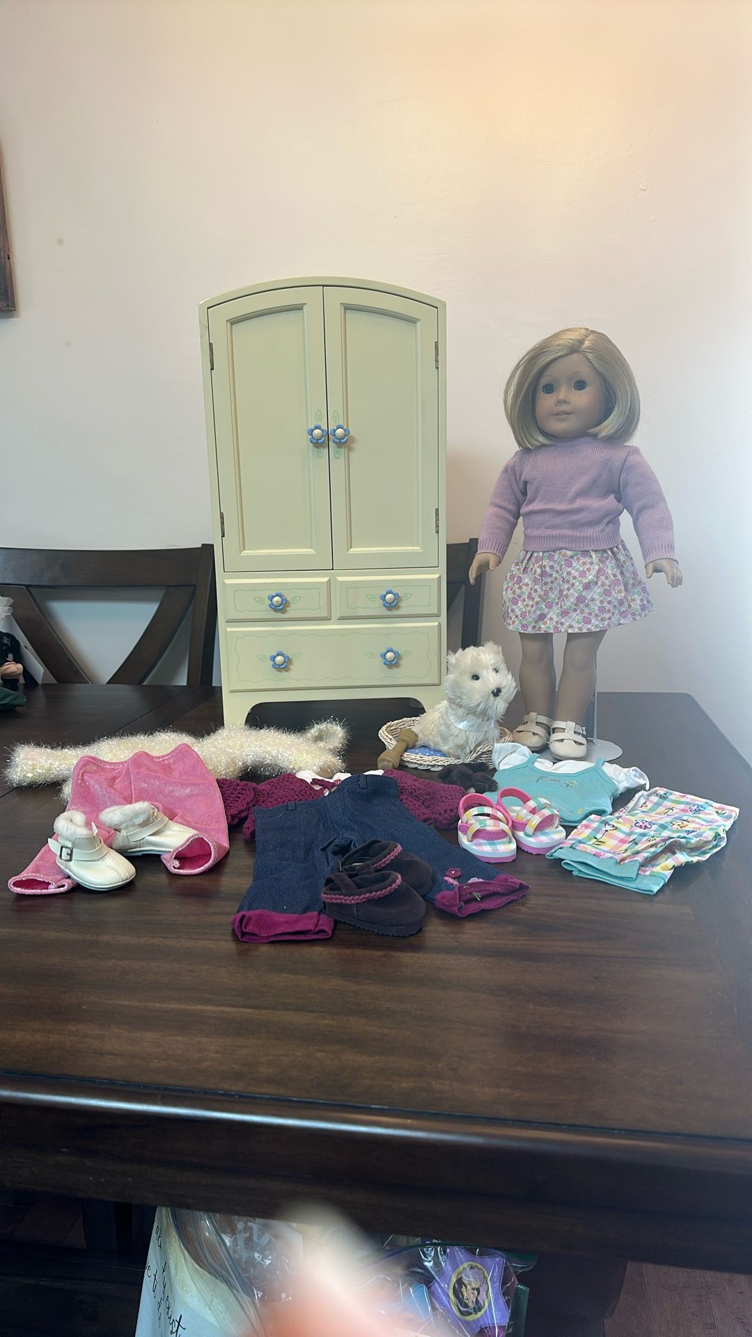 American Girl Kit, Clothes, Wardrobe, Dog, Lombard IL