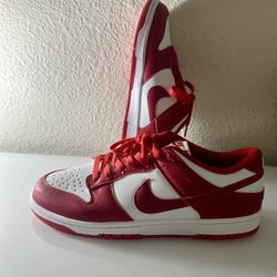 Nike Sneaker Size 11