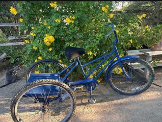 Bicicleta