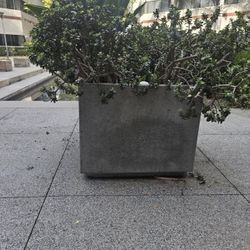 2 Available - Cast Stone/Concrete Planters