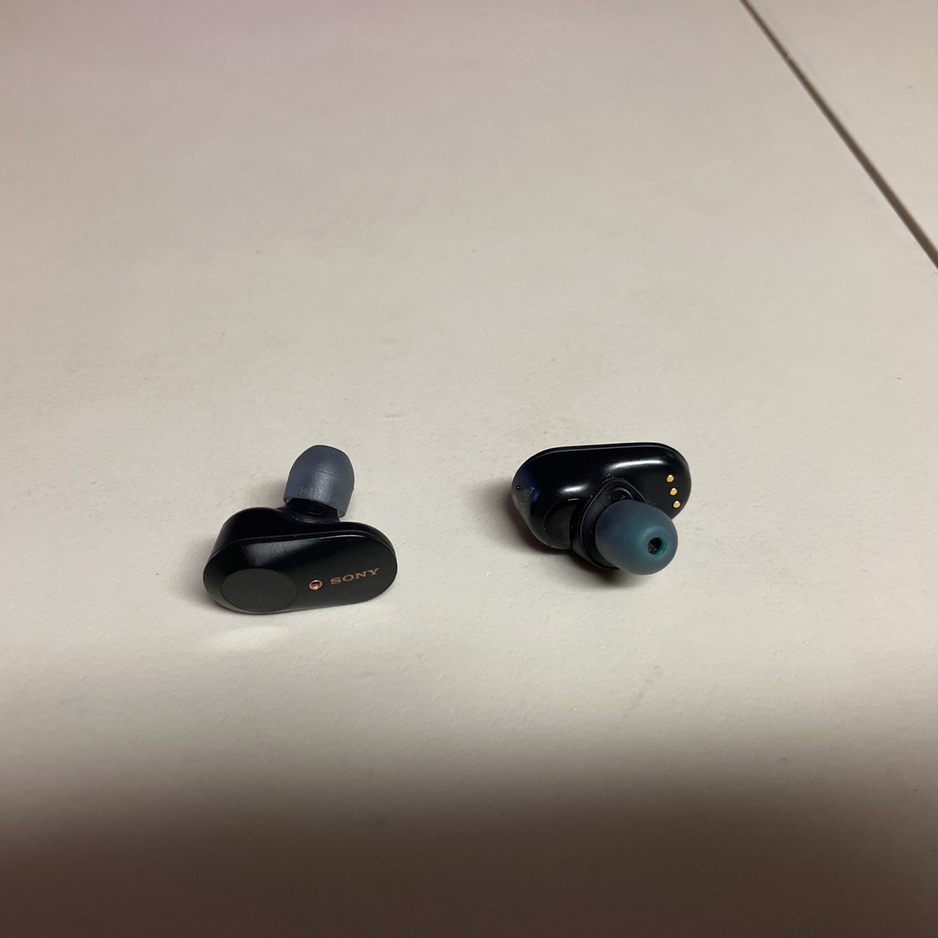 Sony Ear Buds (Pair)