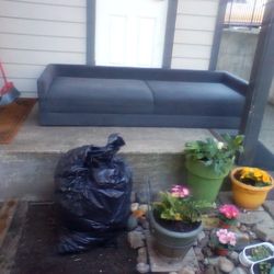 Free Couch 