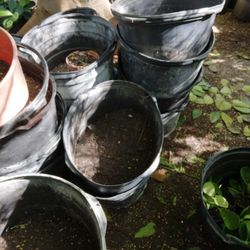 A Nice Ice Bucket Unique Also Organic Dirt