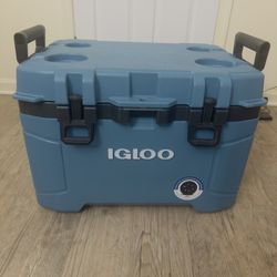 Igloo Cooler