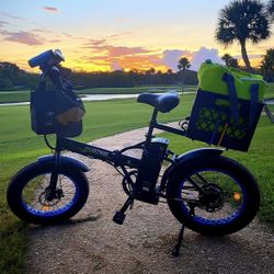 Ecotric Electric Bike