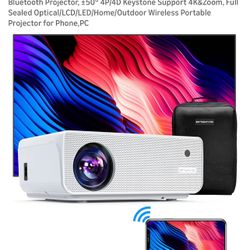 Video Projector
