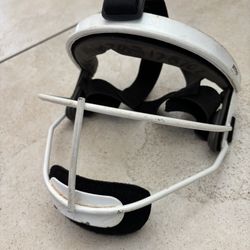 Rip-It softball fielders mask