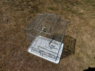 Free bird cage