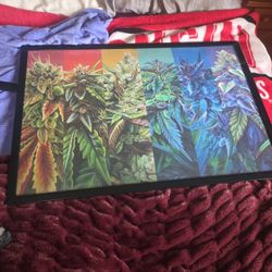 Flower Framed Poster