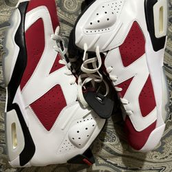 Size 16 Air Jordan 6 Carmines