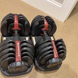 Bowflex Selecttech 552 Adjustable Dumbbell Set