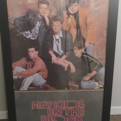 New kid on the block picture  .