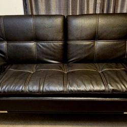 "Relax A Lounger" Eurolounger Futon: Costco GenuineLeather
