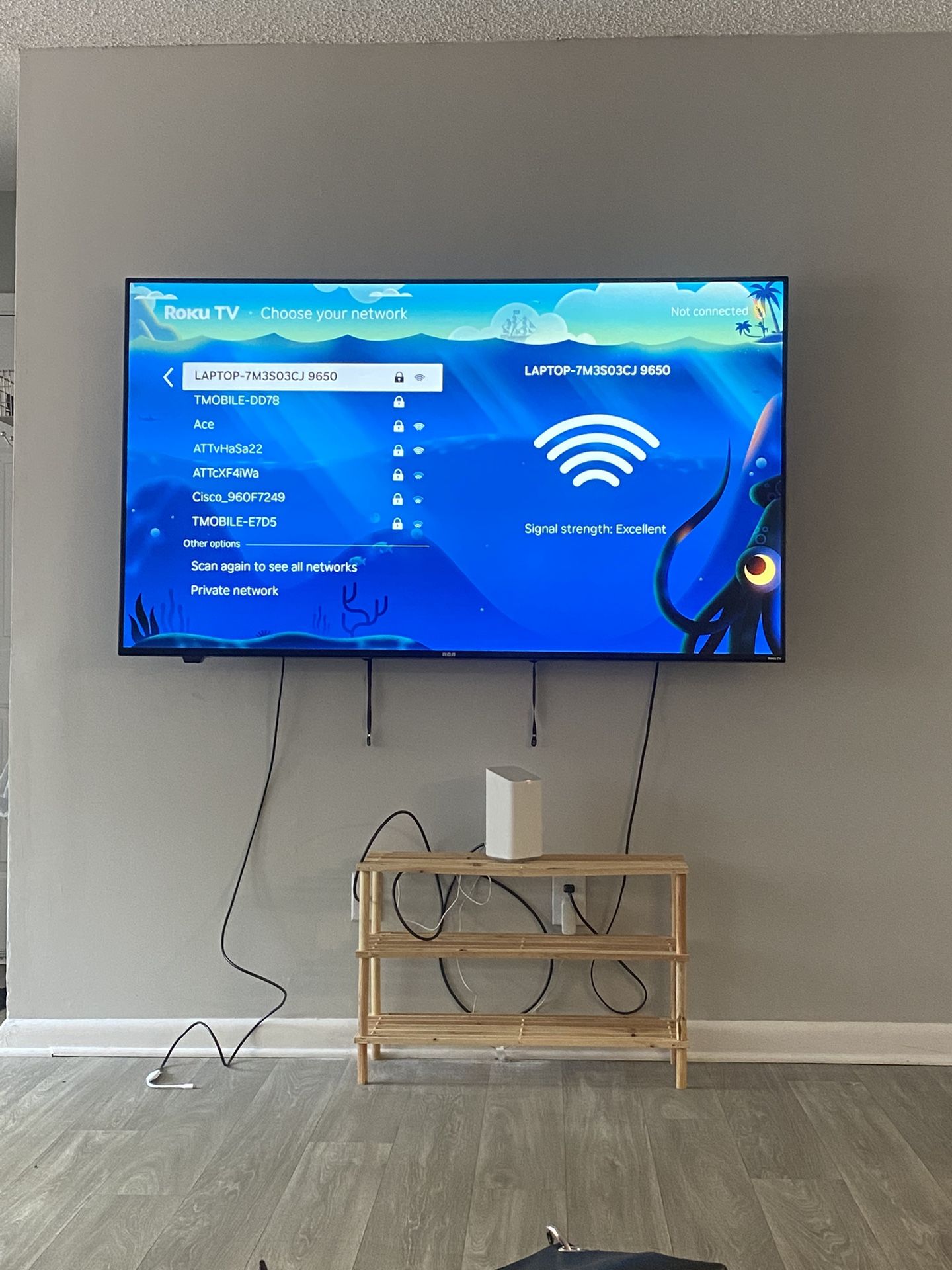 70in Roku Tv 