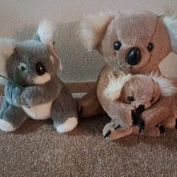 Koala Bears Stuffed Animals 