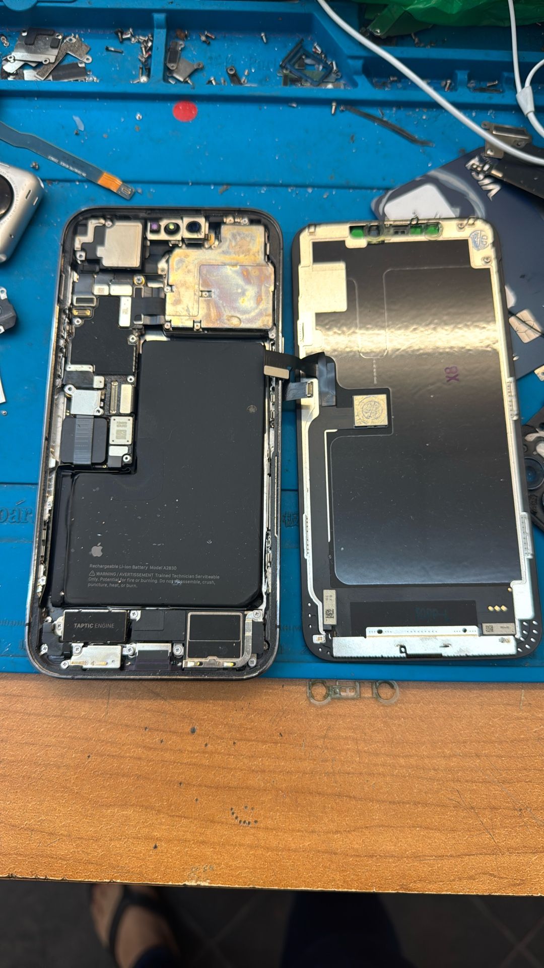 IPhone 11 Screen