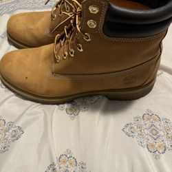 Timberland Wheats Size 13 