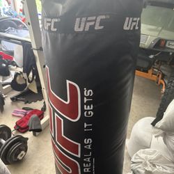 UFC Punching Bag 