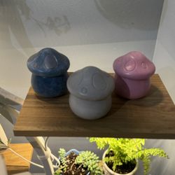Concrete Mushroom Trinket Box