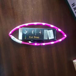 LED Dog Collar (OBO)