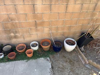 Plant pots: clay and glazed