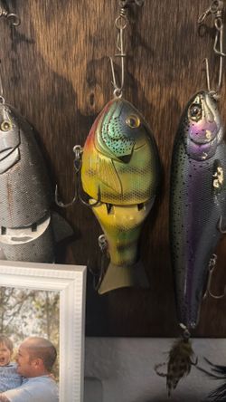 Black dog baits shell cracker OG swimbait