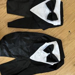 Dog Tuxedo