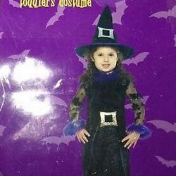 Lil Elegant Witch Toddler Costume sz 2-4 yrs