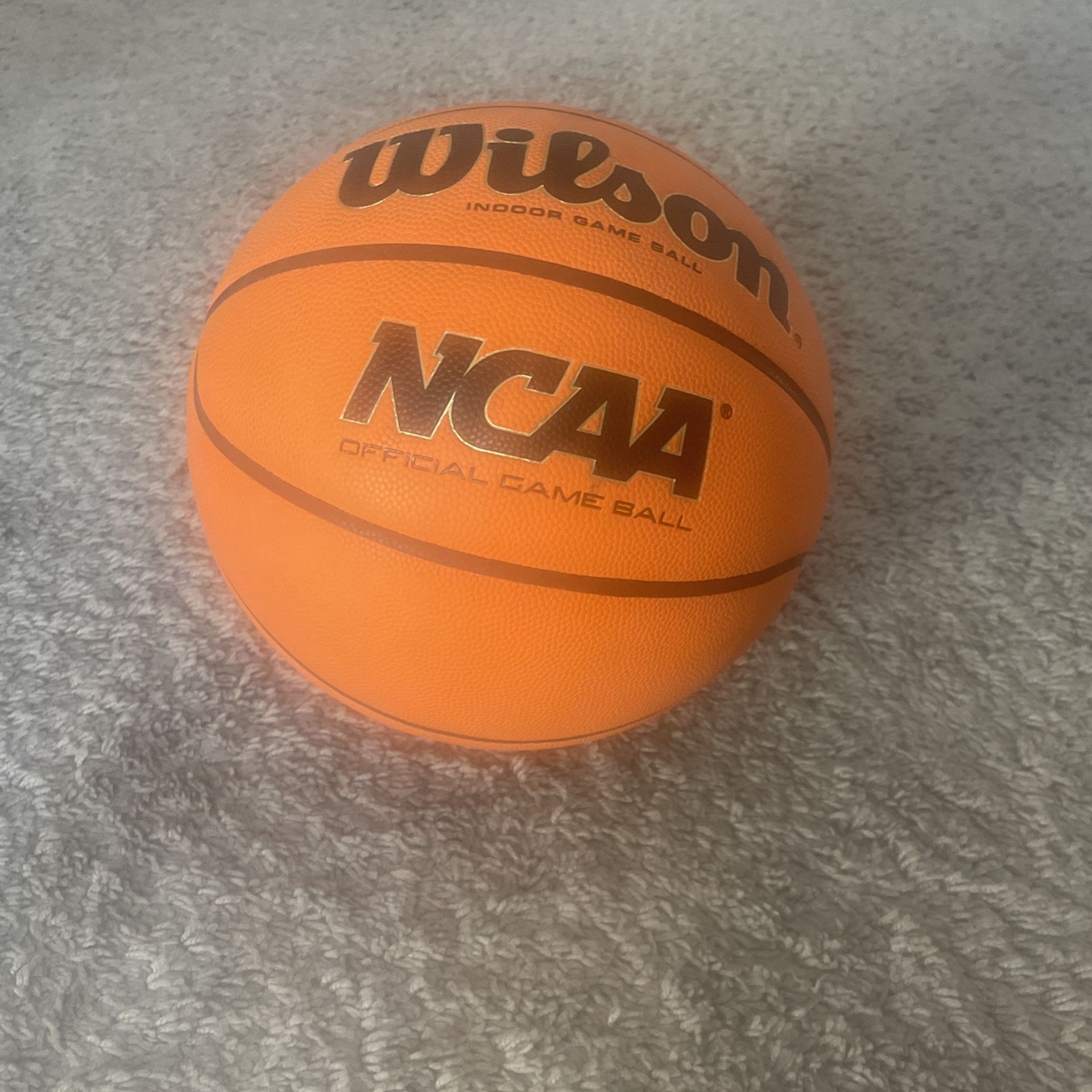*Great Condition* Evo Basketball