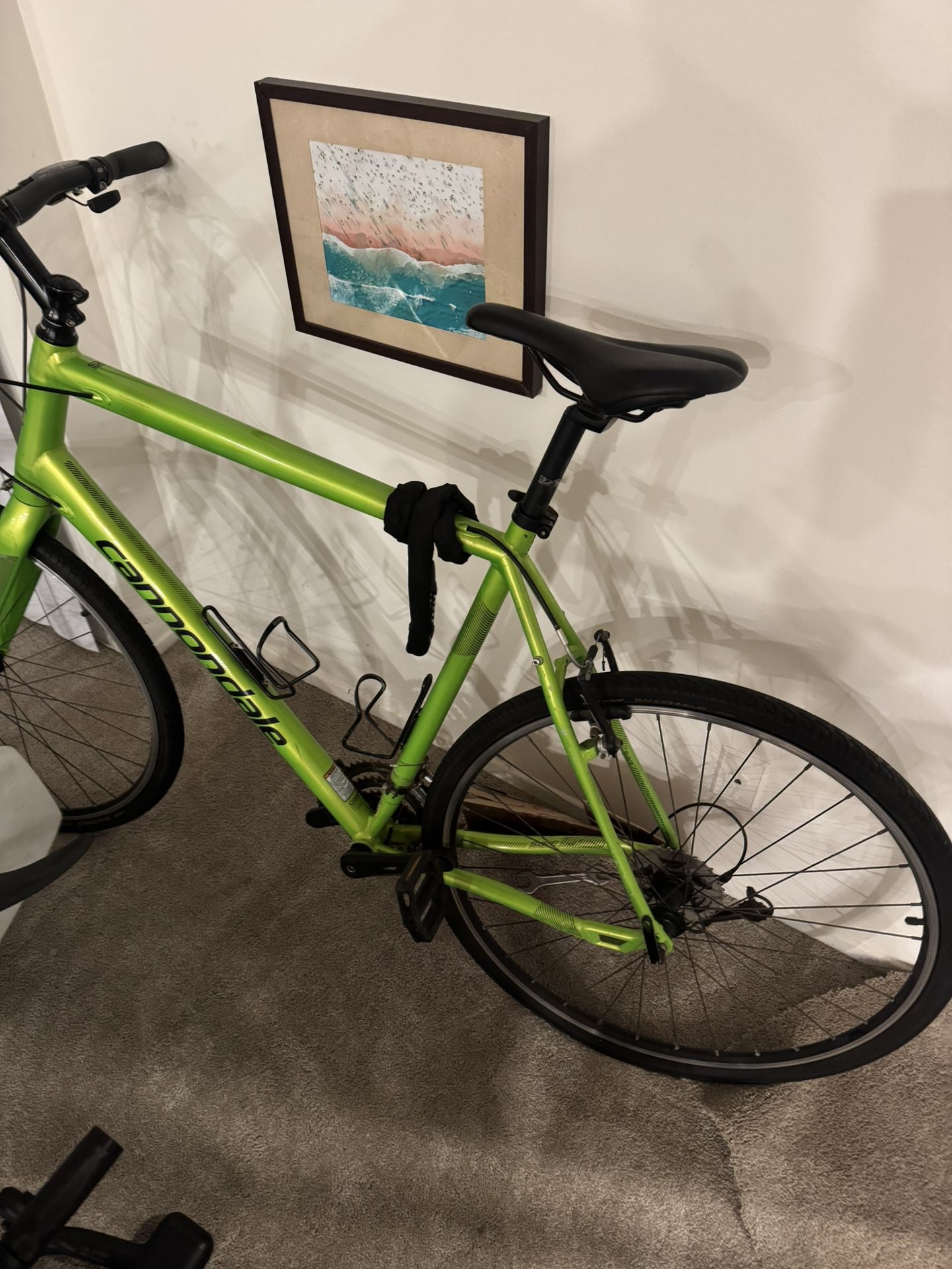 Cannondale Gravel Bike